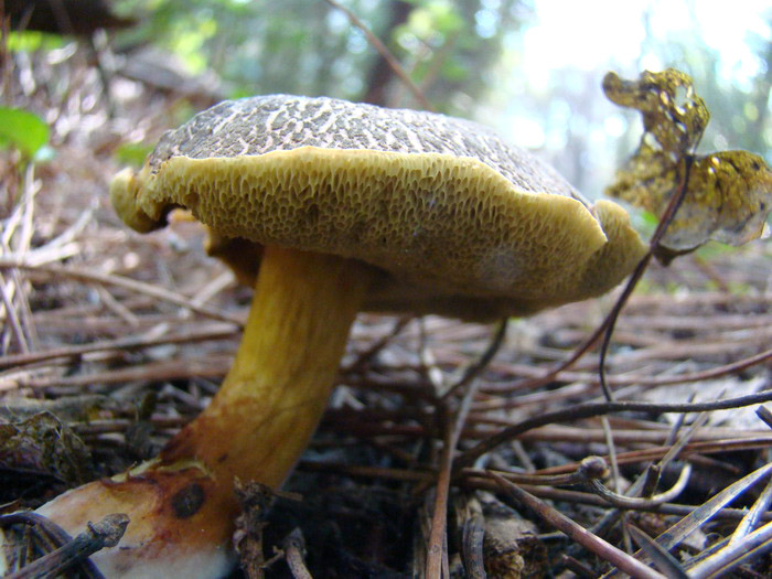 Escursione nel Parco nazionale del Circeo